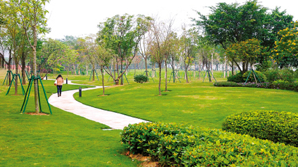 美丽田园园林提供城市公共绿地园林景观绿化工程服务